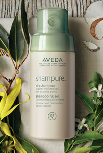 NEW Aveda Dry Conditioner - Soft & Sleek In Between Washes!