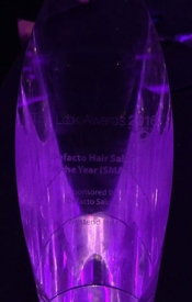 Westend Hair Salon Small Salon of the Year Glasgow 2016