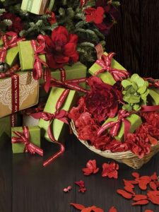 aveda-christms