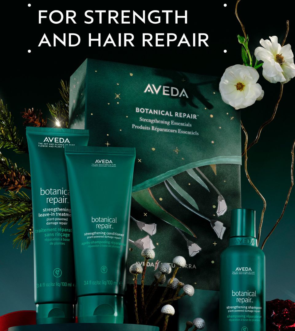 Aveda Botanical Repair Aveda Botanical Repair